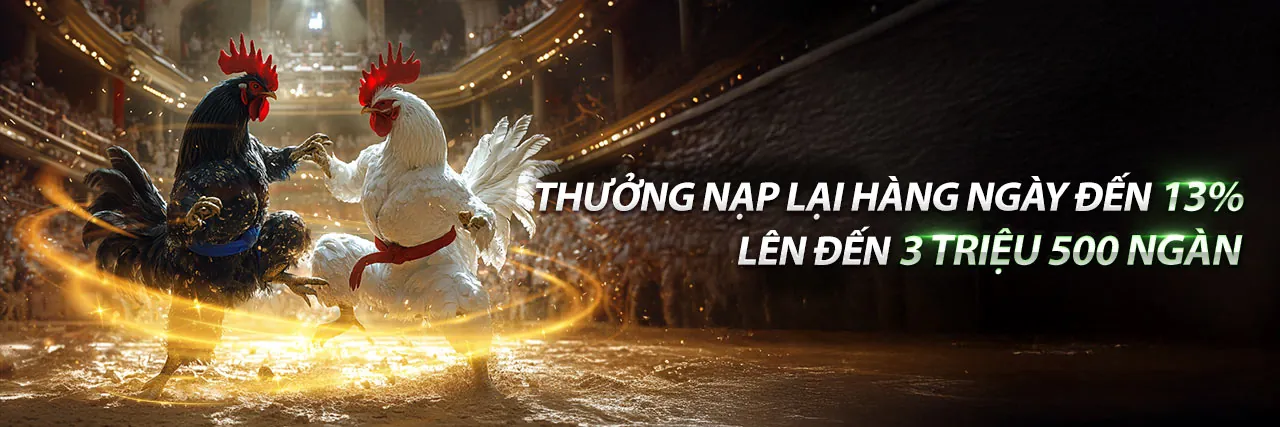 Đá Gà Trực Tuyến Hấp Dẫn tại Lucky8