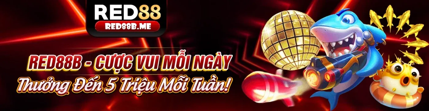 Giao diện shbet app trên điện thoại thông minh