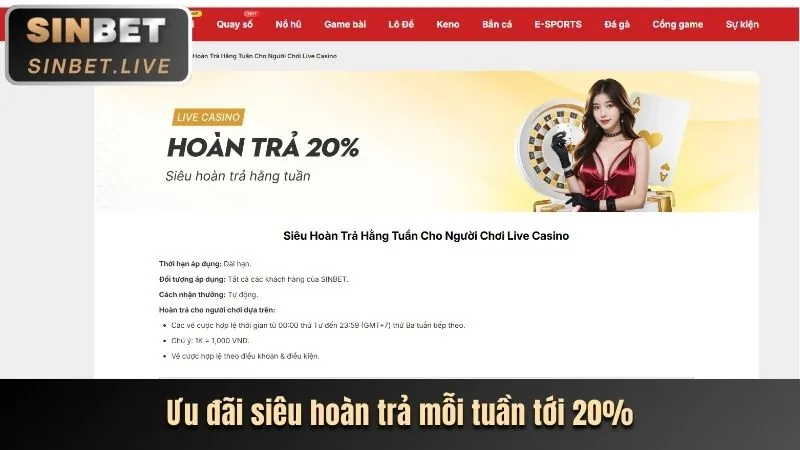 Cấu Trúc Cấp Độ VIP Shbet App